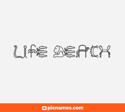 Life Beach